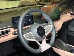 2025 BYD Seagull Smart Driving 305km Freedom — фото 7