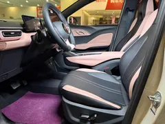 2025 BYD Seagull Smart Driving 305km Freedom — фото 9