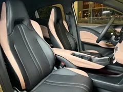 2025 BYD Seagull Smart Driving 305km Freedom — фото 12