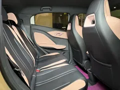 2025 BYD Seagull Smart Driving 305km Freedom — фото 13
