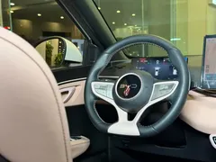 2025 BYD Seagull Smart Driving 305km Freedom — фото 15