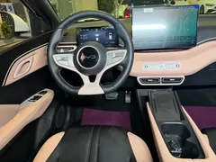 2025 BYD Seagull Smart Driving 305km Freedom — фото 17