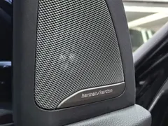 2022 BMW X5 30Li M, чёрный — фото 21