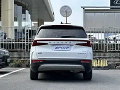 2021 Hyundai Custo 380TGDi Flagship TOP Premium, белый — фото 10