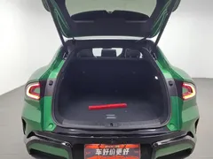 2025 Xiaomi YU7, зелёный — фото 16