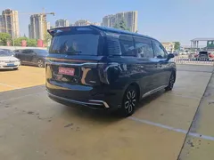 2023 Hongqi HQ9 2.0T, чёрный — фото 14