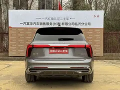 2022 Hongqi E-HS9 690km — фото 13