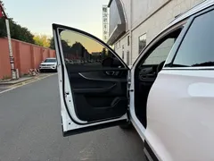 2021 Chery Tiggo 7 Pro 1.5T CVT Premium, белый — фото 21