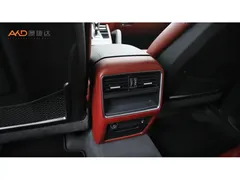 2021 Porsche Cayenne /2.0T/21 /E-Hybrid — фото 9