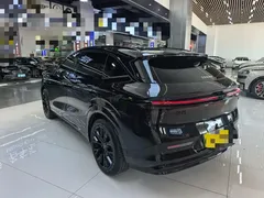 2025 Zeekr 7X 100kWh Long Range RWD Smart Driving, чёрный — фото 17