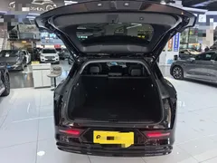 2025 Zeekr 7X 100kWh Long Range RWD Smart Driving, чёрный — фото 20