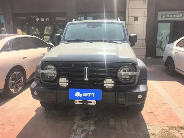 2021 Tank 300 2.0T