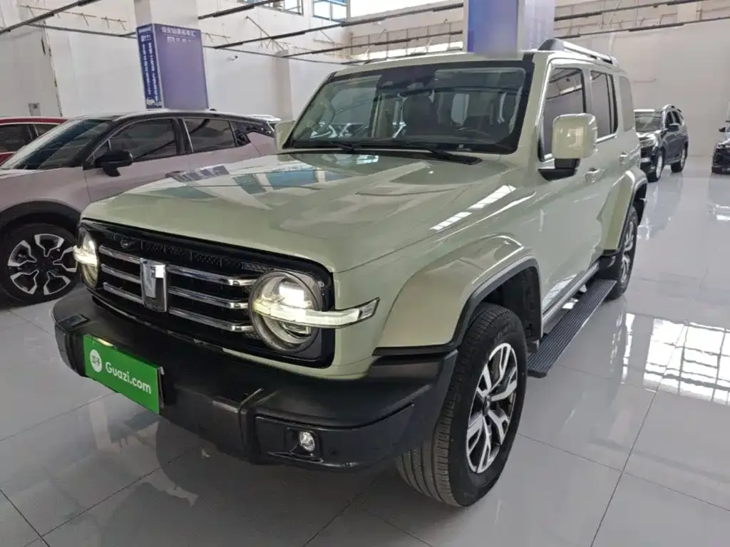 2021 Tank 300 City 2.0T