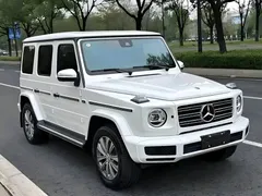 2020 Mercedes-Benz G-Class G 350, белый — фото 2