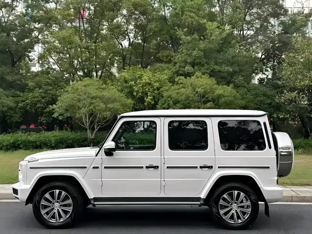2020 Mercedes-Benz G-Class G 350
