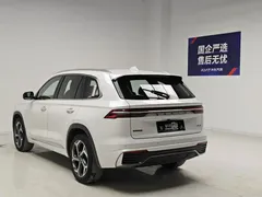 2021 Geely Monjaro 2.0TD DCT EVO 2WD Premium, белый — фото 6