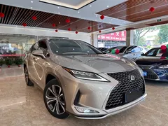 2020 Lexus RX 300 4WD — фото 3