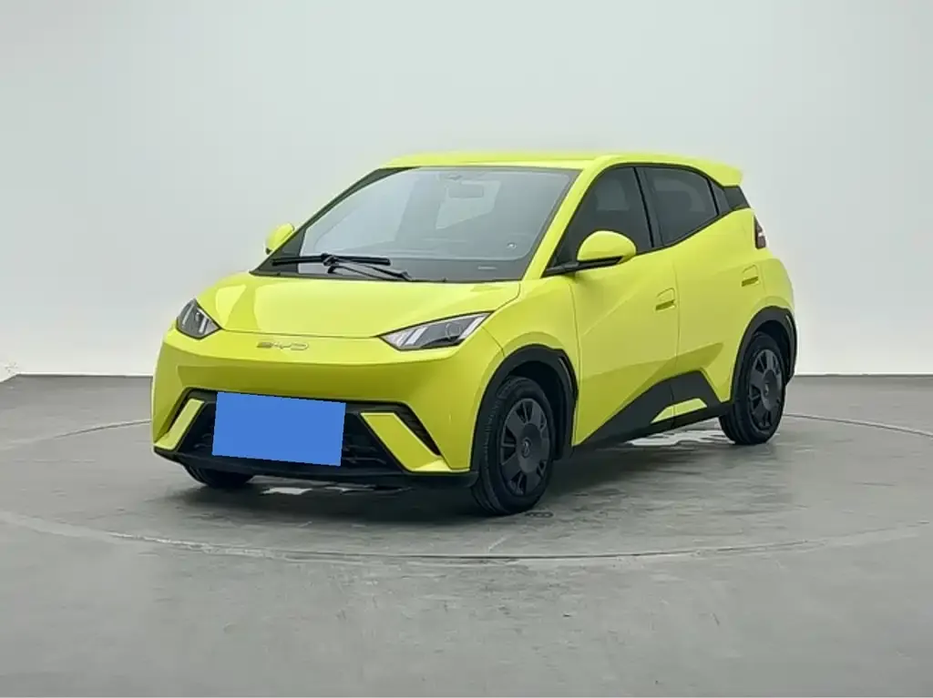 2024 BYD Seagull Honor 305km Vitality