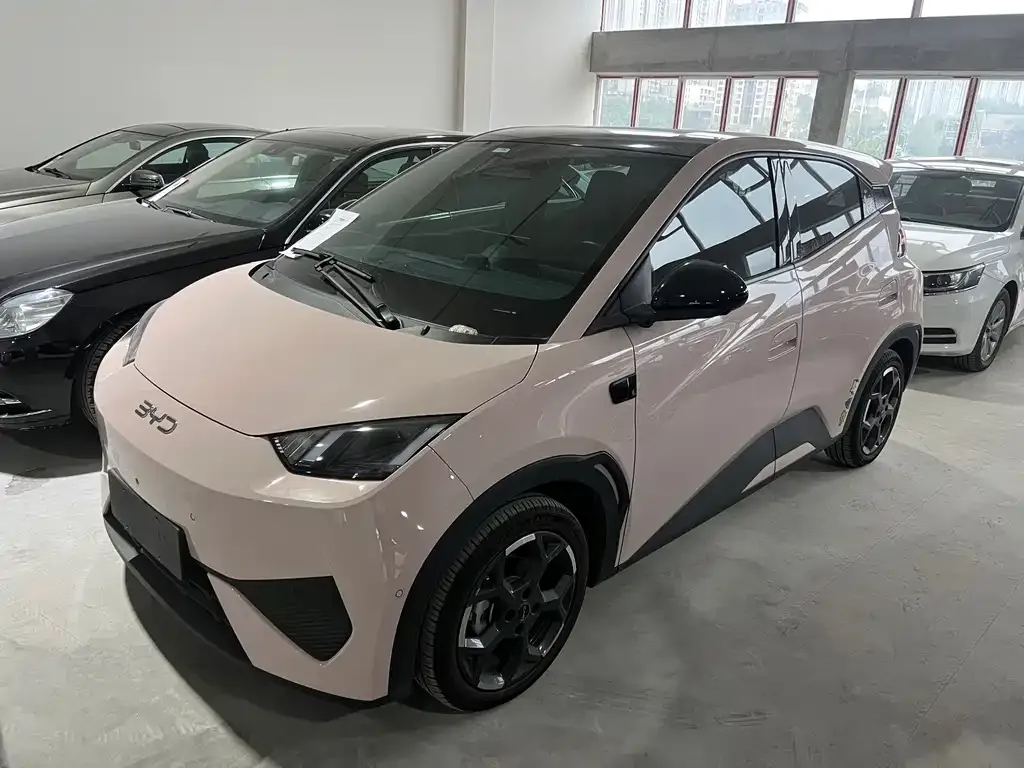 2025 BYD Seagull Smart Driving 305km Freedom