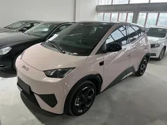 2025 BYD Seagull Smart Driving 305km Freedom — фото 1
