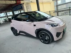 2025 BYD Seagull Smart Driving 305km Freedom — фото 3
