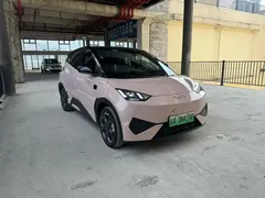 2025 BYD Seagull Smart Driving 305km Freedom — фото 4