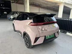 2025 BYD Seagull Smart Driving 305km Freedom — фото 6