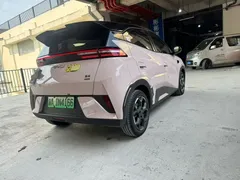 2025 BYD Seagull Smart Driving 305km Freedom — фото 8
