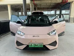 2025 BYD Seagull Smart Driving 305km Freedom — фото 9