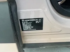 2025 BYD Seagull Smart Driving 305km Freedom — фото 13