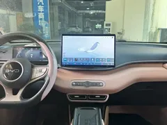 2025 BYD Seagull Smart Driving 305km Freedom — фото 14