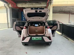 2025 BYD Seagull Smart Driving 305km Freedom — фото 16