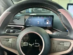 2025 BYD Seagull Smart Driving 305km Freedom — фото 17