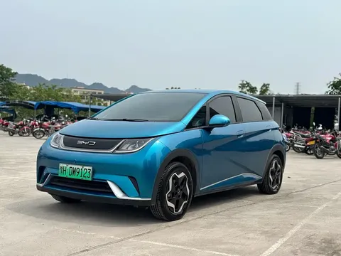 2021 BYD Dolphin 405km Fashion