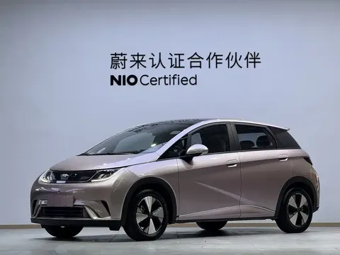 2023 BYD Dolphin 420km Fashion