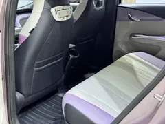 2023 BYD Dolphin 420km Fashion — фото 16