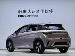 2023 BYD Dolphin 420km Fashion — фото 17