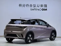 2023 BYD Dolphin 420km Fashion — фото 19