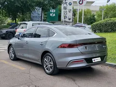 2023 BYD Qin PLUS Champion EV 510km — фото 4