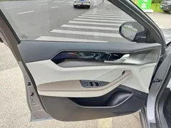 2023 BYD Qin PLUS Champion EV 510km — фото 6