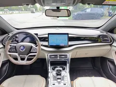 2023 BYD Qin PLUS Champion EV 510km — фото 10