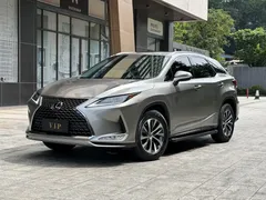 2020 Lexus RX 300 2WD Elite VI — фото 1