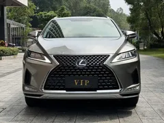 2020 Lexus RX 300 2WD Elite VI — фото 2