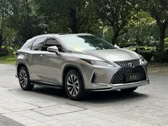 2020 Lexus RX 300 2WD Elite VI — фото 3