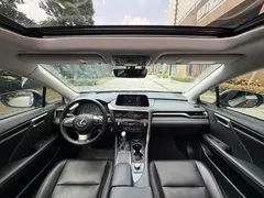 2020 Lexus RX 300 2WD Elite VI — фото 11