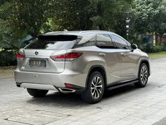 2020 Lexus RX 300 2WD Elite VI — фото 12