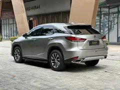 2020 Lexus RX 300 2WD Elite VI — фото 14