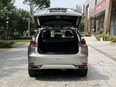 2020 Lexus RX 300 2WD Elite VI — фото 16