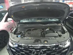 2021 Hyundai Custo 380TGDi Premium LUX Premium, синий — фото 16