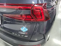 2021 Hyundai Custo 380TGDi Premium LUX Premium, синий — фото 24